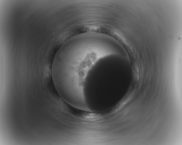 X0000089760467200706211546