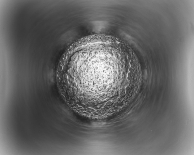X0000089760470200706211546