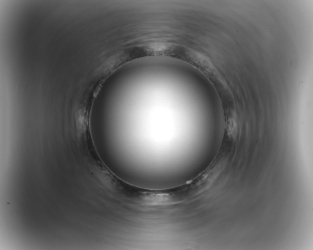 X0000089760476200706211547