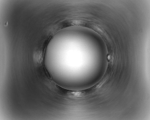 X0000089760478200706211547