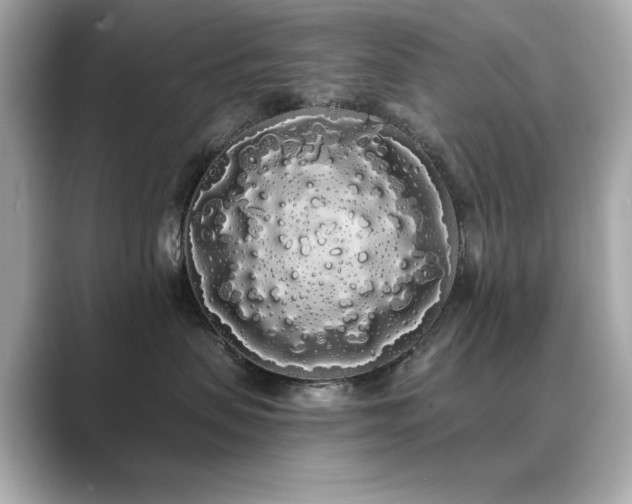 X0000089760479200706211547