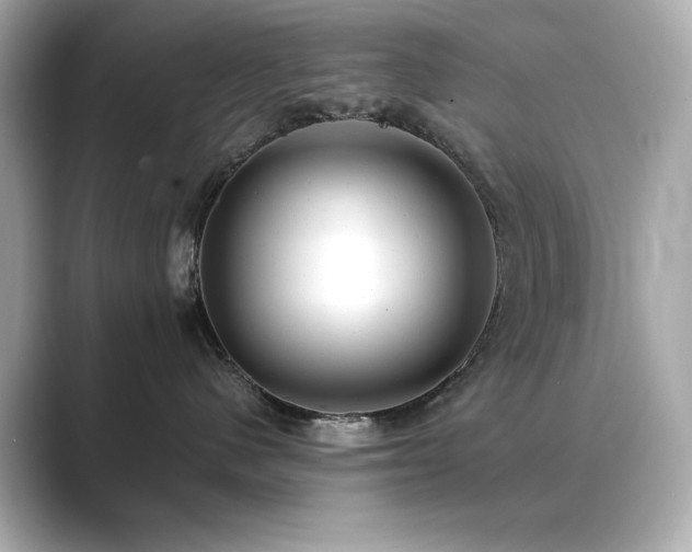 X0000089760480200706211547