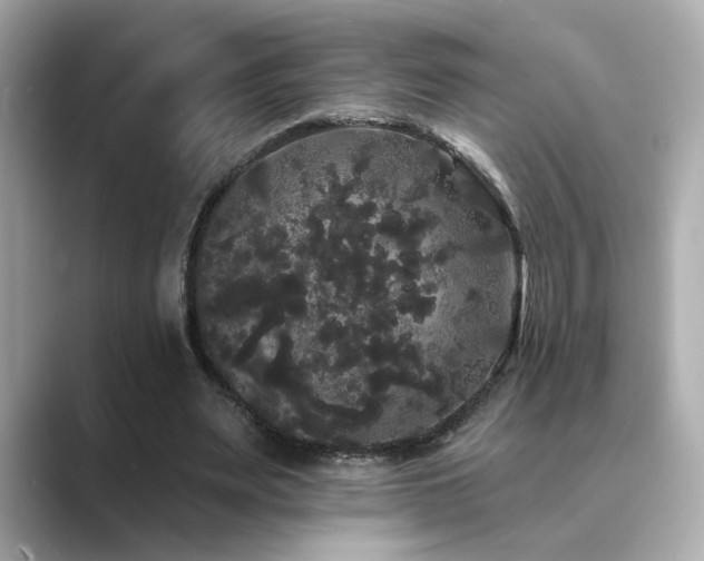 X0000089760487200706211546