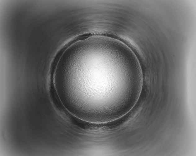 X0000089760488200706211546