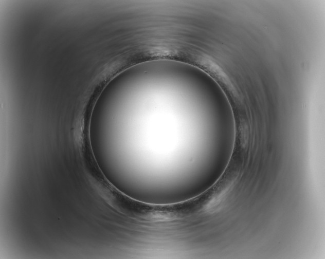 X0000089760490200706211546
