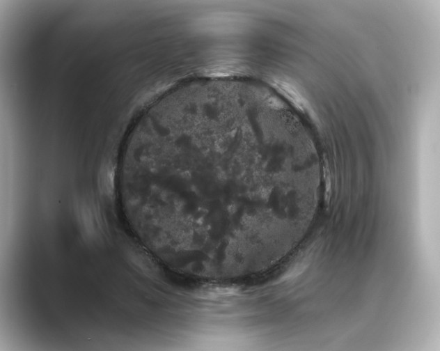X0000089760491200706211546