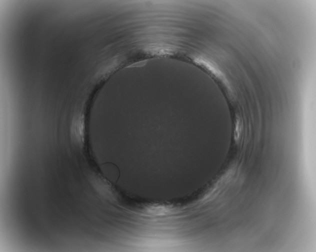 X0000089760494200706211546