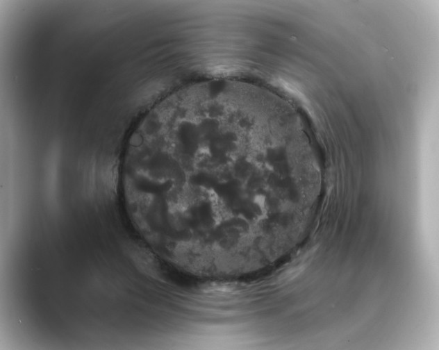 X0000089760495200706211546