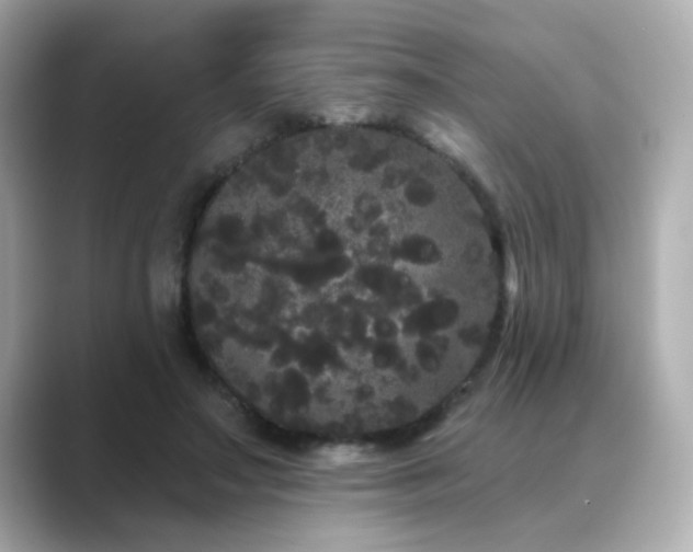 X0000089760499200706211546