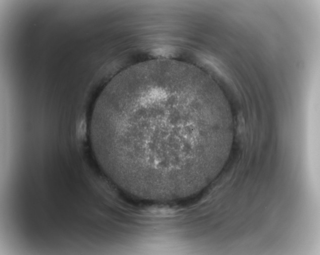 X0000089760502200706211546