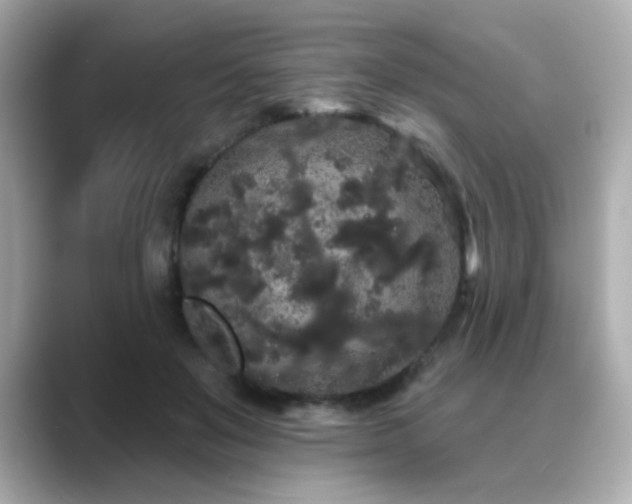 X0000089760503200706211546