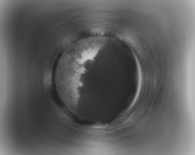 X0000089760504200706211546