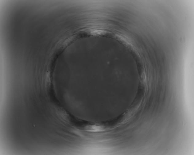 X0000089760506200706211546