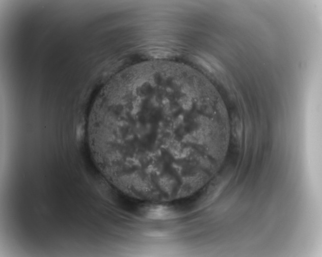 X0000089760507200706211546
