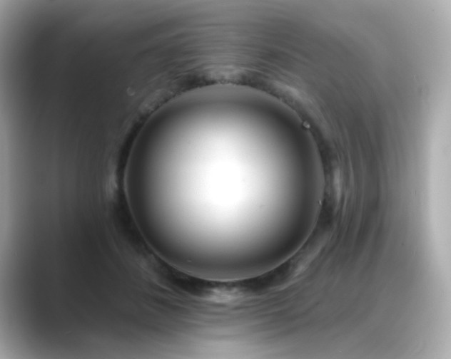 X0000089760508200706211546