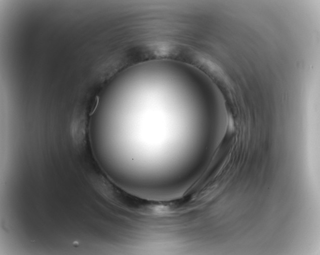 X0000089760509200706211546