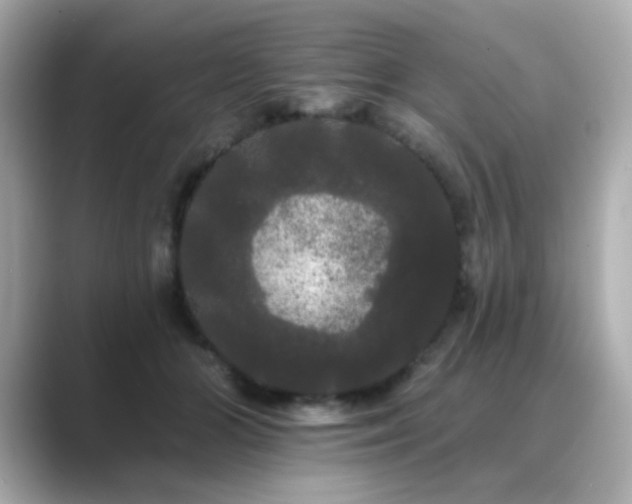 X0000089760510200706211546