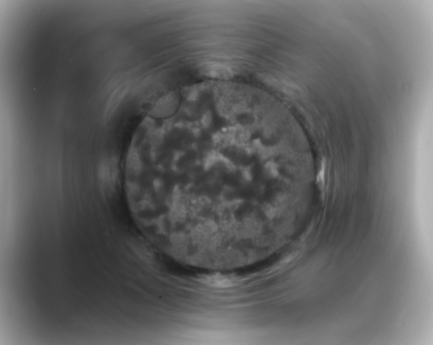 X0000089760511200706211546