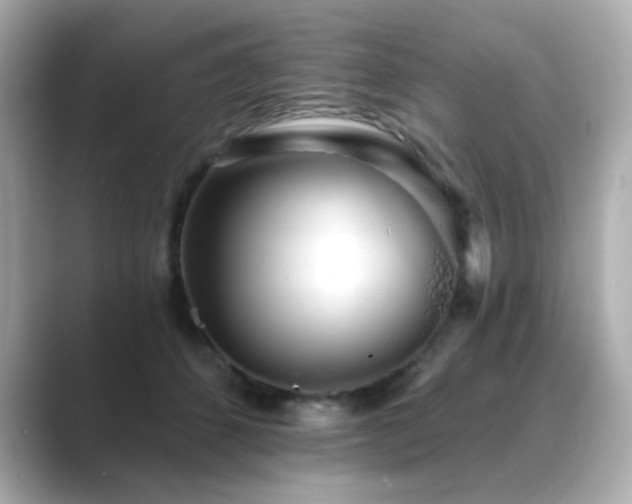 X0000089760512200706211546