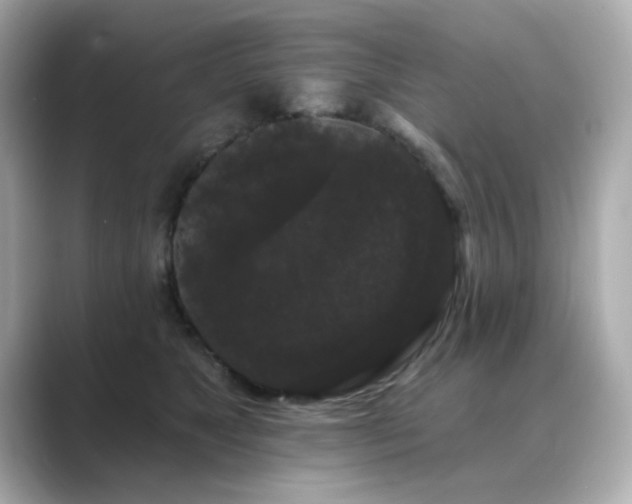 X0000089760517200706211546