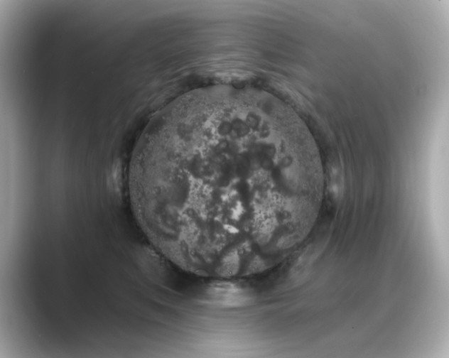 X0000089760519200706211546