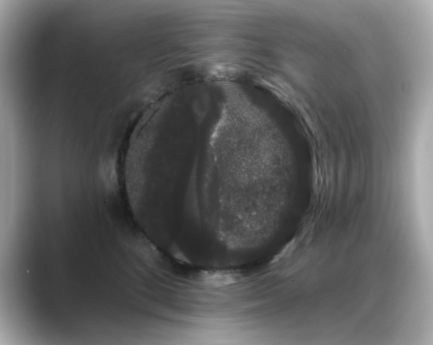 X0000089760520200706211546