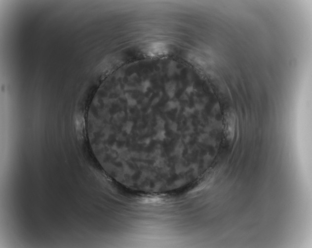 X0000089760523200706211546