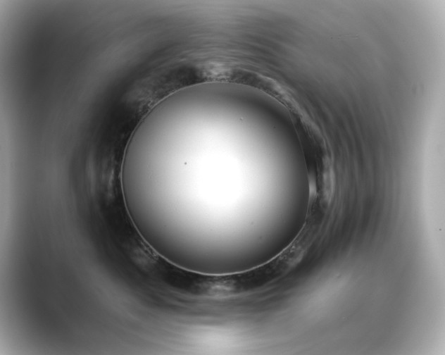 X0000089760525200706211546