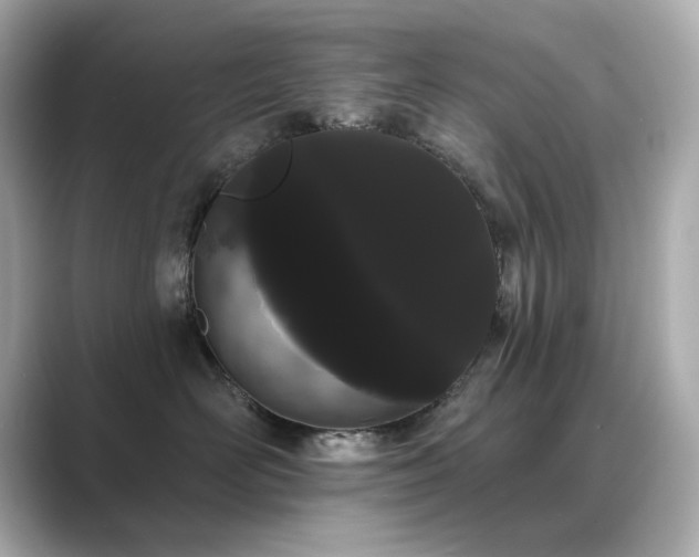 X0000089760526200706211546