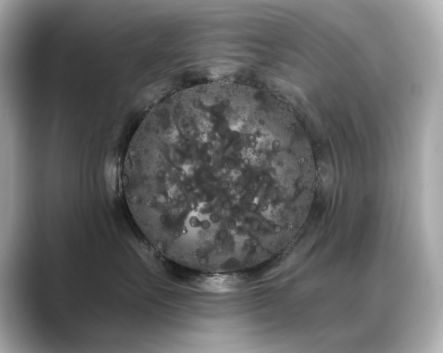 X0000089760527200706211546