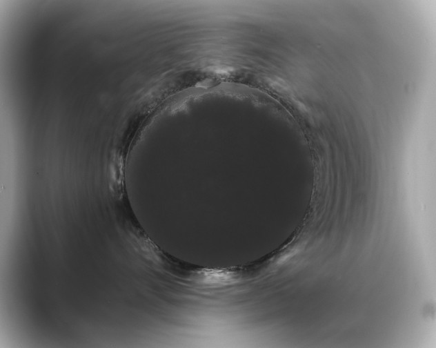 X0000089760528200706211546