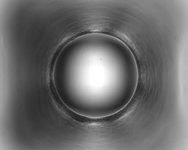 X0000089760530200706211545