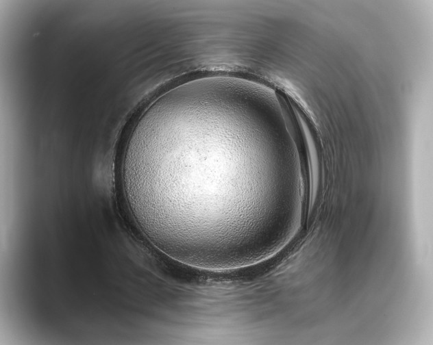 X0000089760531200706211545