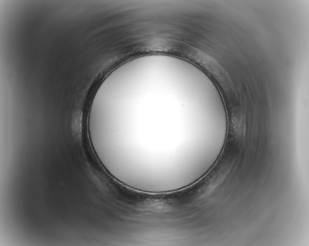 X0000089760534200706211545