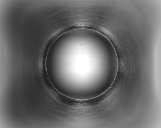 X0000089760535200706211545