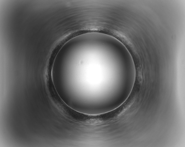 X0000089760536200706211545