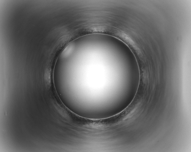 X0000089760537200706211545