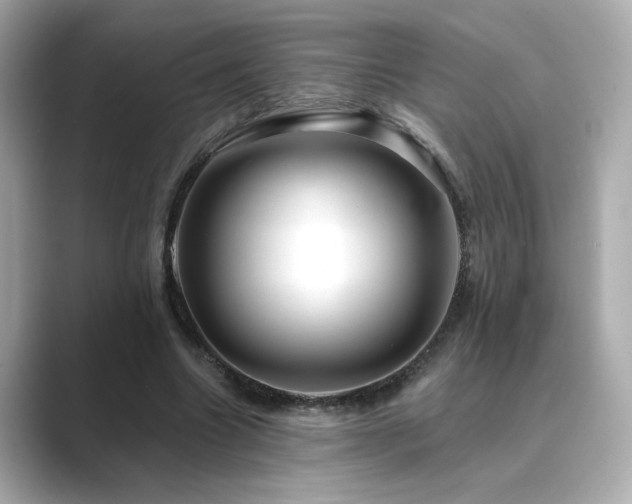 X0000089760538200706211545