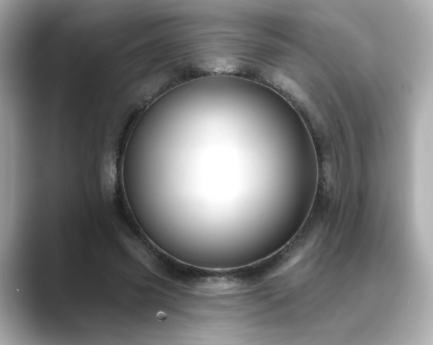 X0000089760541200706211545