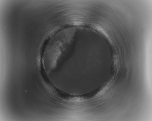 X0000089760542200706211545