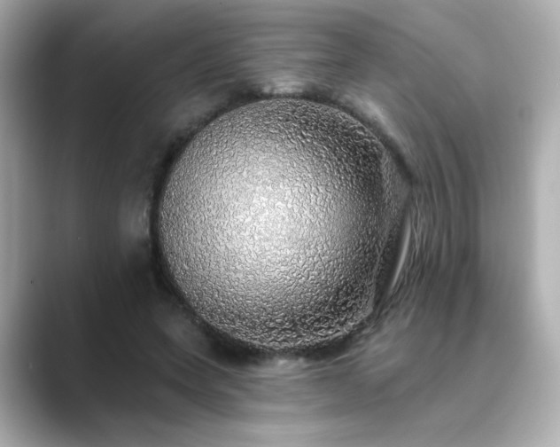 X0000089760543200706211545