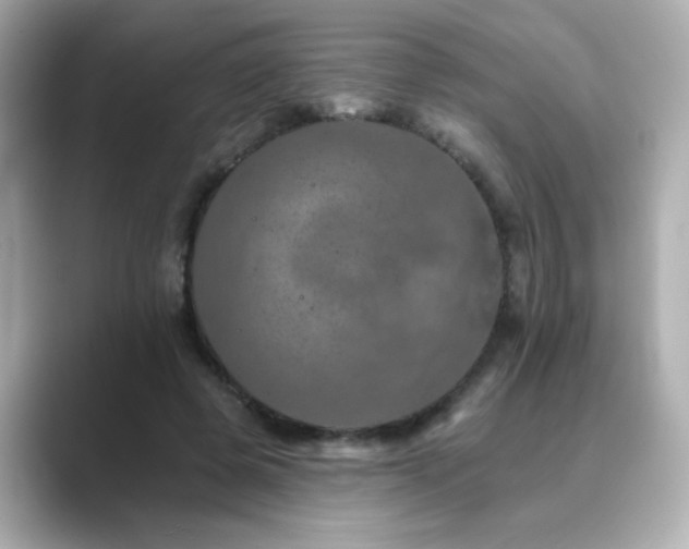 X0000089760545200706211545