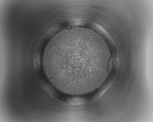 X0000089760546200706211545
