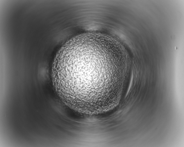 X0000089760547200706211545