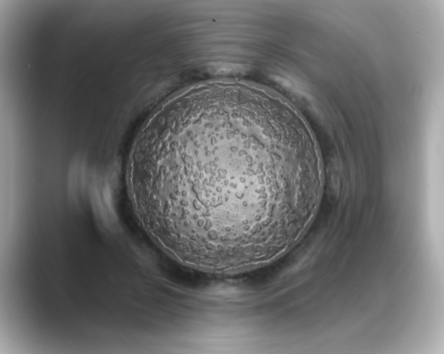 X0000089760550200706211545