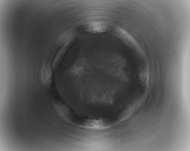 X0000089760552200706211545