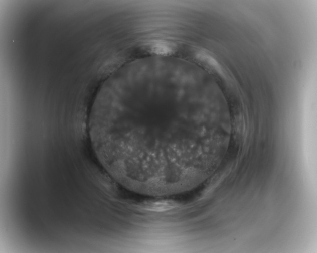 X0000089760553200706211545