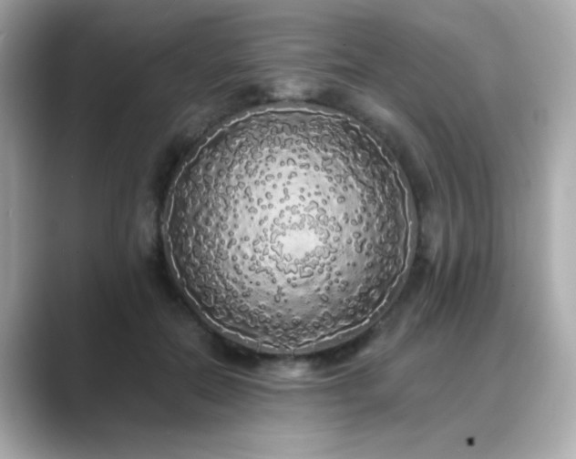 X0000089760554200706211545