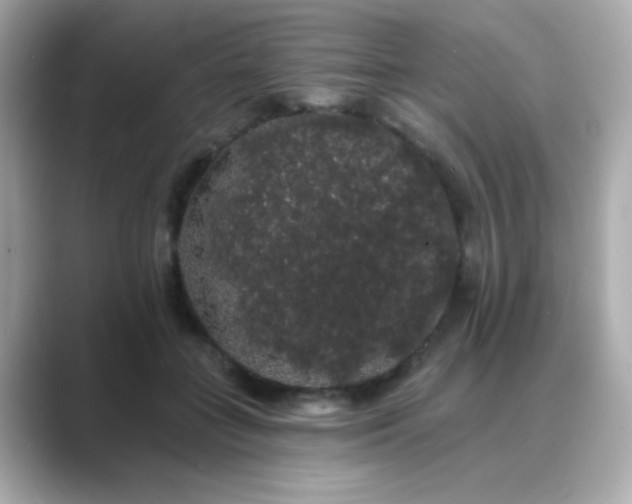 X0000089760555200706211545