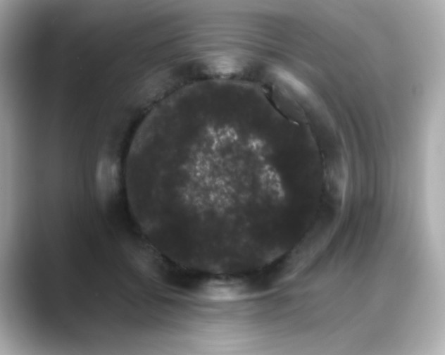 X0000089760556200706211545